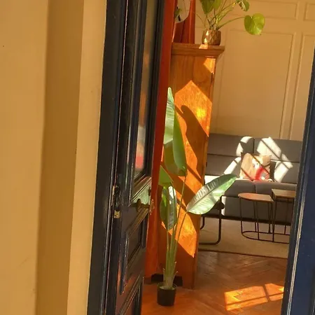 Appartement à - 36 M² Avec Jardin