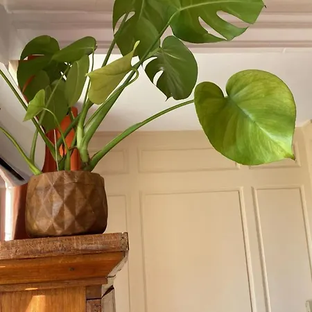 Appartement charmant à Les Andelys - 36 m² avec jardin 3*