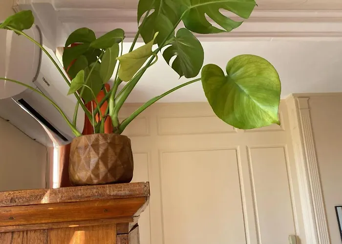 Appartement Charmant A Les Andelys - 36 M² Avec Jardin *