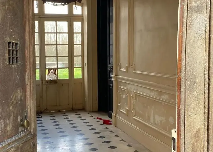 Appartement Charmant A Les Andelys - 36 M² Avec Jardin *